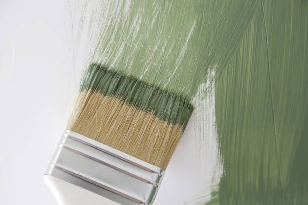 Best Mold Prevention Services  in Braham, MN
