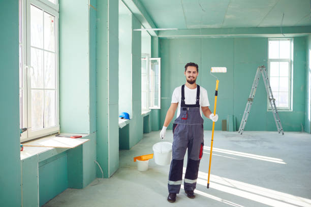 Best Emergency Mold Remediation  in Braham, MN