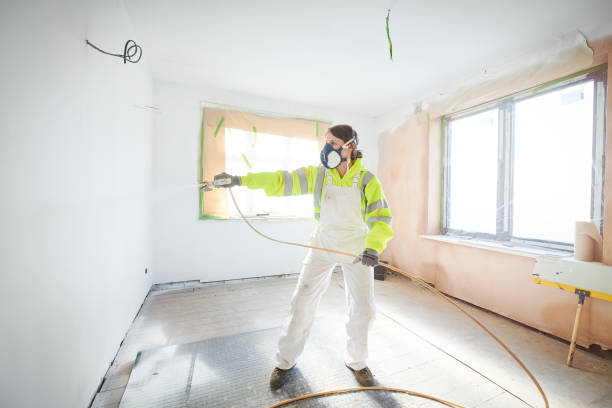 Best Crawl Space Mold Remediation  in Braham, MN