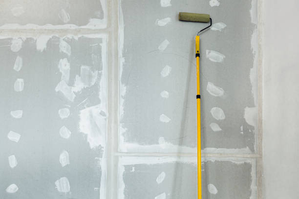 Best Attic Mold Removal  in Braham, MN