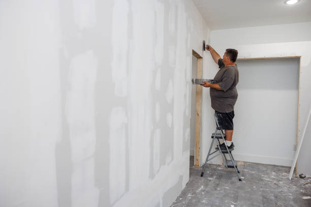 Best Post-Construction Mold Inspection  in Braham, MN
