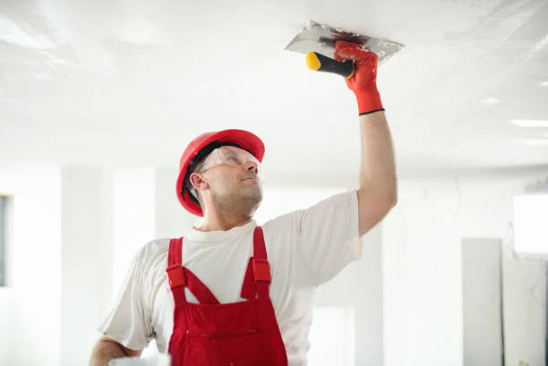 Best Comprehensive Air Testing for Mold Contaminants  in Braham, MN