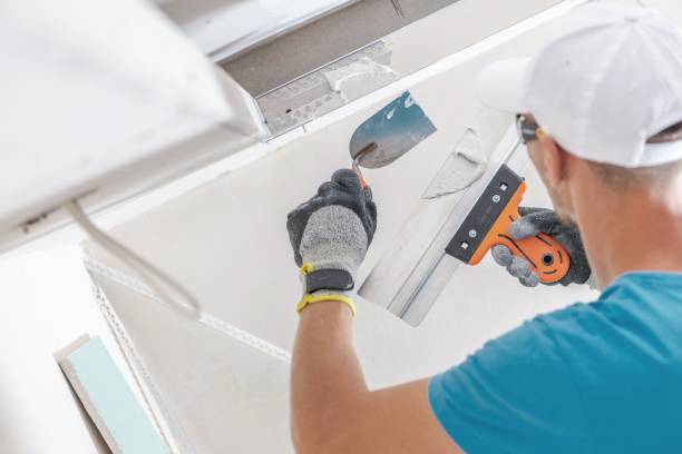 Braham, MN Mold Removal Company